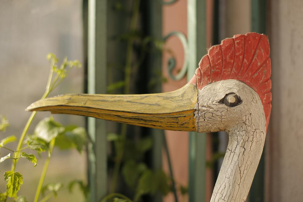 Bed & Breakfast Garden40 Belgrad Zewnętrze zdjęcie
